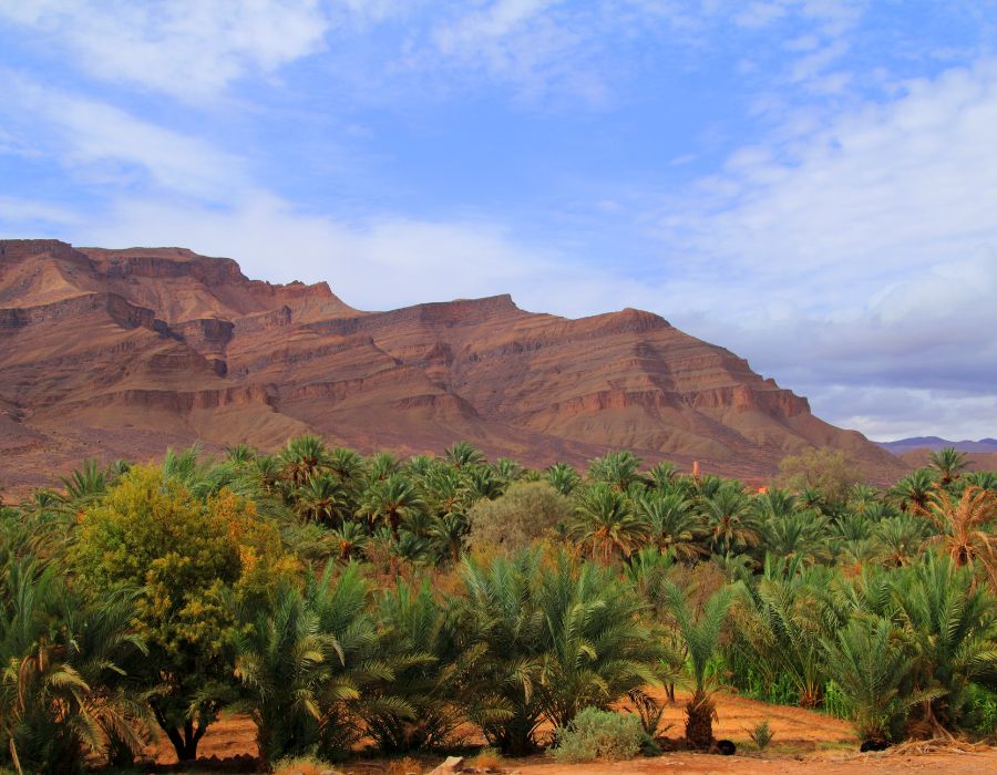 Valle del Draa con Viajamos en Marruecos