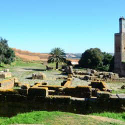 Cosas para hacer en el Sur de Marruecos